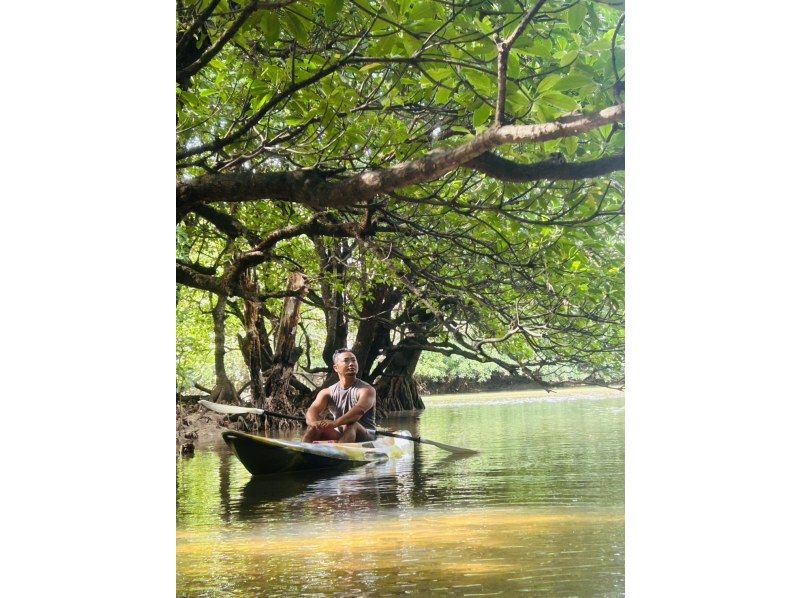 ★Free cancellation in case of rain★ Presented by an island-born and island-raised person!! Don't worry about the rain! Mangrove kayaking tour! Free photo data included!の紹介画像