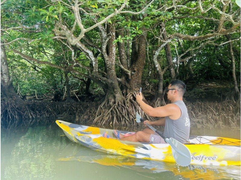 ★Free cancellation in case of rain★ Presented by an island-born and island-raised person!! Don't worry about the rain! Mangrove kayaking tour! Free photo data included!の紹介画像