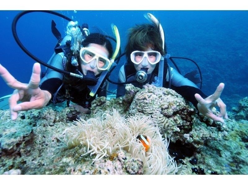 【1000円割引◇12歳～OK】青の洞窟ダイビング＆パラセーリング【期間限定】の紹介画像