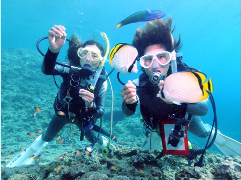 【1000円割引◇12歳～OK】青の洞窟ダイビング＆パラセーリング【期間限定】の紹介画像