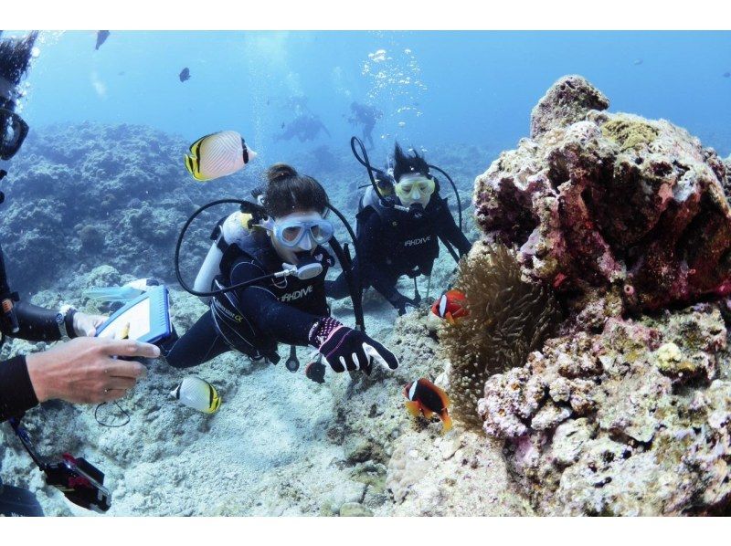 【1000円割引◇12歳～OK】青の洞窟ダイビング＆パラセーリング【期間限定】の紹介画像