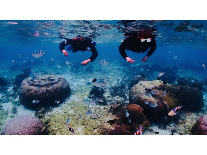 【那覇・糸満】直前予約OK☆ウミガメの生息地でシュノーケリング【ジョン万ビーチ】☆エサやり体験☆ウミガメ遭遇率高めだよ♪の紹介画像