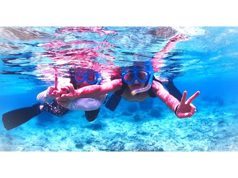 【那覇・糸満】直前予約OK☆朝活しよう！ウミガメと早朝シュノーケリング♪ウミガメ遭遇率高めだよ♪の紹介画像