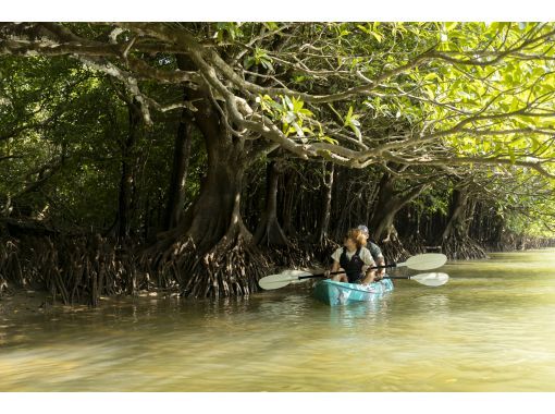 【石垣島】★雨天時キャンセル無料★島生まれ島育ちがプレゼンツ!雨でも安心!マングローブカヤックツアー!写真データ無料プレゼント! 【石垣島】★雨天時キャンセル無料★島生まれ島育ちがプレゼンツ!雨でも安心!マングローブカヤックツアー!写真データ無料プレゼント!