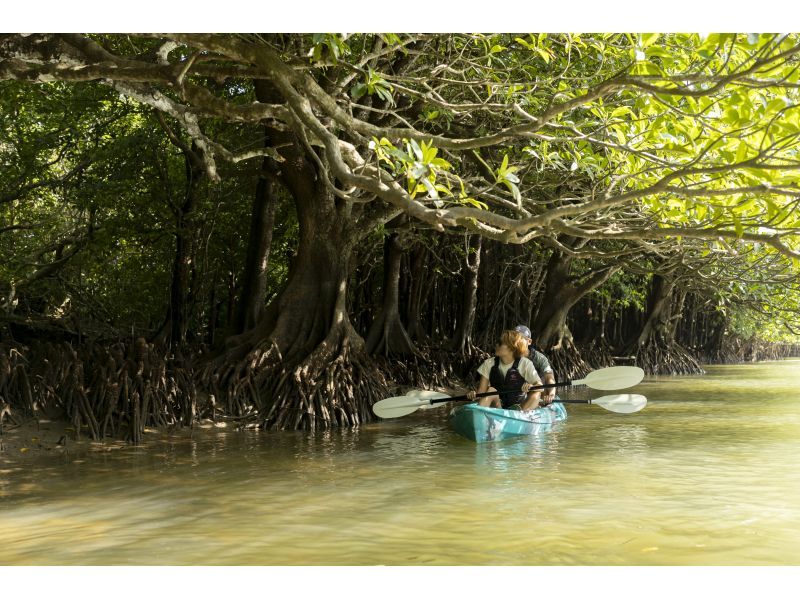 [Ishigaki Island] ★Free cancellation in case of rain★ Presented by an island-born and island-raised person! Don't worry about the rain! Mangrove kayaking tour! Free photo data included!の紹介画像