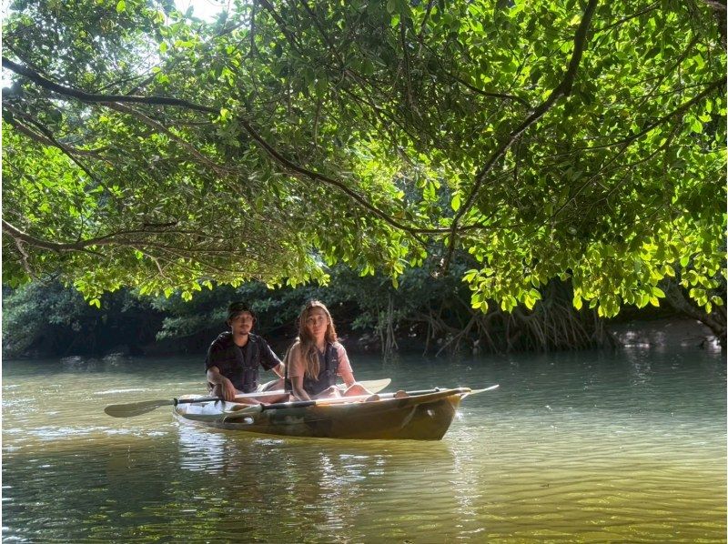 [Ishigaki Island] ★Free cancellation in case of rain★ Presented by an island-born and island-raised person! Don't worry about the rain! Mangrove kayaking tour! Free photo data included!の紹介画像