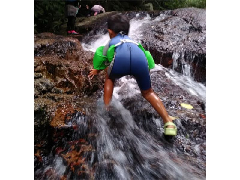 【沖縄・石垣島】冬こそ！トレッキング/山登り/シャワートレッキング（沢歩き）自然体験半日ツアー（AM・PMが選べます）の紹介画像