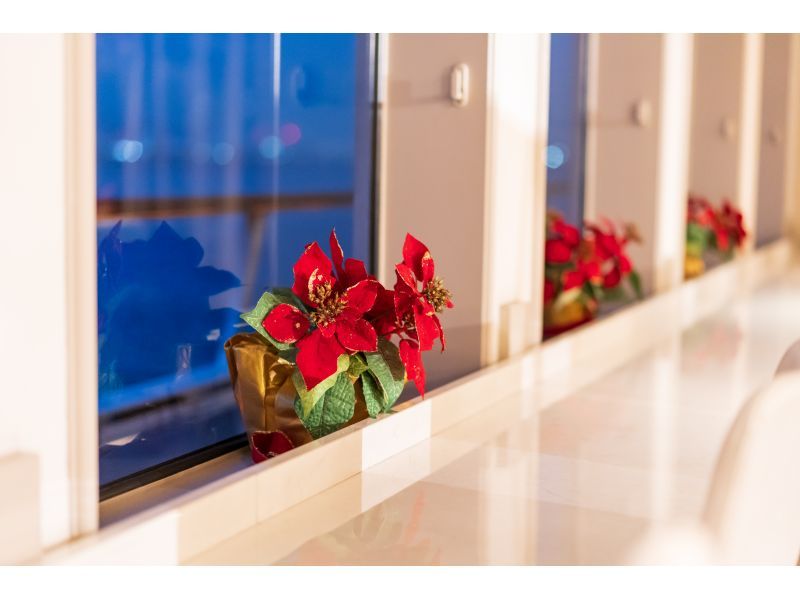 12:30出航【Xmas2025・ランチクルーズ】クリスマスグリル＆サラダバー♪選べるメイン＆フリーソフトドリンクの紹介画像