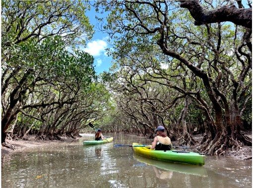 【鹿児島・奄美】北部〜名瀬エリア送迎可能! “1組貸切” おひとりご参加OK、女性ガイドが案内する マングローブカヤック&プチ観光ツアー 【鹿児島・奄美】北部〜名瀬エリア送迎可能! “1組貸切” おひとりご参加OK、女性ガイドが案内する マングローブカヤック&プチ観光ツアー