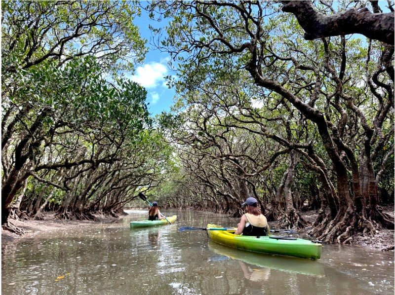 【鹿児島・奄美】北部〜名瀬エリア送迎可能！ “1組貸切” おひとりご参加OK、女性ガイドが案内する マングローブカヤック＆プチ観光ツアーの紹介画像