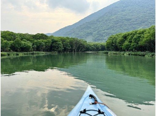 【鹿児島・奄美】北部〜名瀬エリア送迎可能! “1組貸切” おひとりご参加OK、女性ガイドが案内する マングローブカヤック&プチ観光ツアー 【鹿児島・奄美】北部〜名瀬エリア送迎可能! “1組貸切” おひとりご参加OK、女性ガイドが案内する マングローブカヤック&プチ観光ツアー