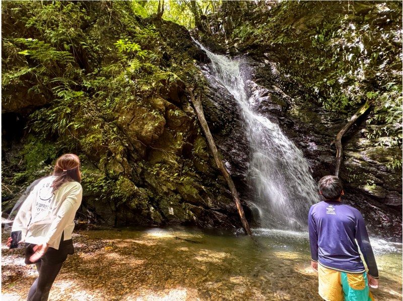 【鹿児島・奄美】北部〜名瀬エリア送迎可能！ “1組貸切” おひとりご参加OK、女性ガイドが案内する マングローブカヤック＆プチ観光ツアーの紹介画像