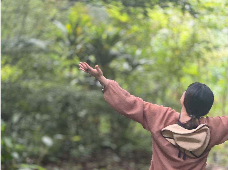 【鹿児島・奄美】北部〜名瀬エリア送迎可能！ “1組貸切” おひとりご参加OK、女性ガイドが案内する マングローブカヤック＆プチ観光ツアーの紹介画像