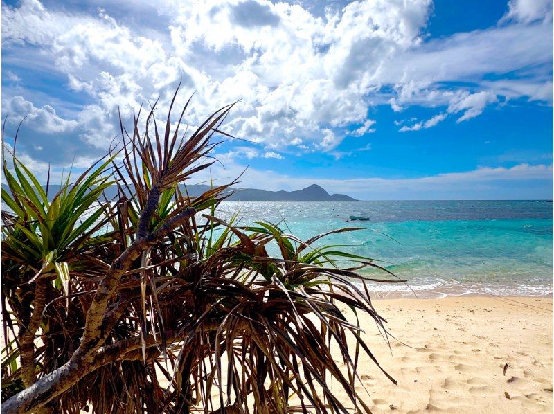 【鹿児島・奄美】北部〜名瀬エリア送迎可能！ “1組貸切” おひとりご参加OK、女性ガイドが案内する マングローブカヤック＆プチ観光ツアーの紹介画像