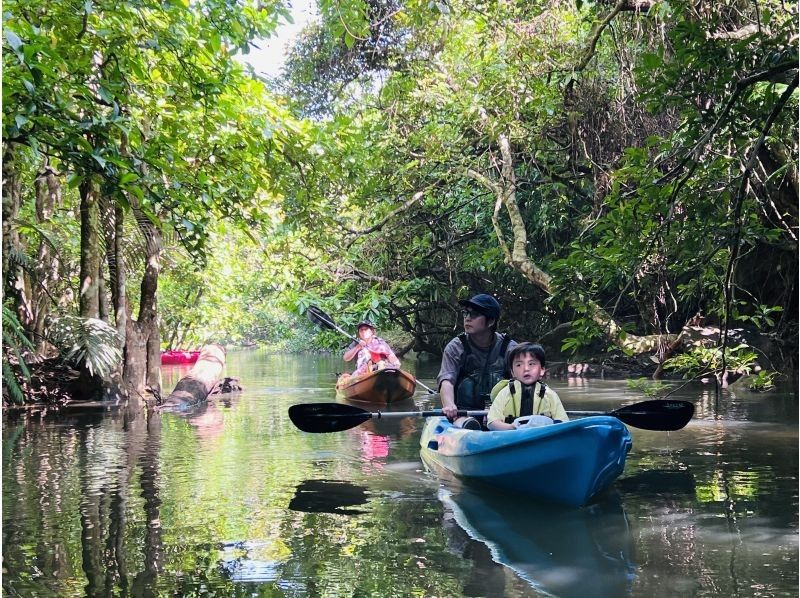 [Okinawa, Iriomote Island] A gentle and authentic experience course! Mangrove Kayaking & Kula Fallsの紹介画像