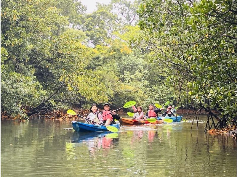 [Okinawa, Iriomote Island] A gentle and authentic experience course! Mangrove Kayaking & Kula Fallsの紹介画像