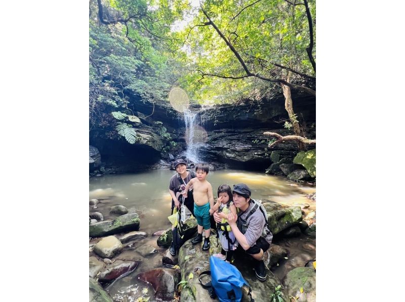 [Okinawa, Iriomote Island] A gentle and authentic experience course! Mangrove Kayaking & Kula Fallsの紹介画像