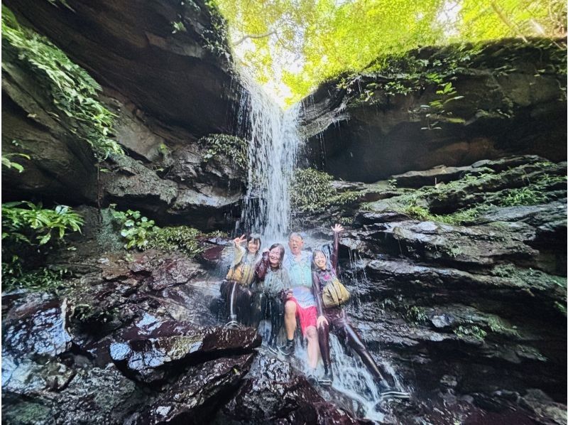 [Okinawa, Iriomote Island] A gentle and authentic experience course! Mangrove Kayaking & Kula Fallsの紹介画像