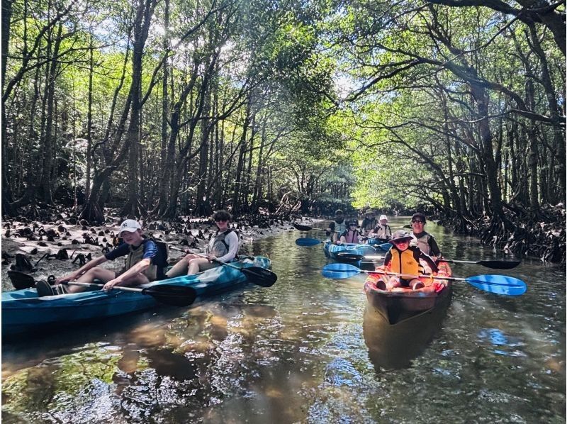 [Okinawa, Iriomote Island] A gentle and authentic experience course! Mangrove Kayaking & Kula Fallsの紹介画像