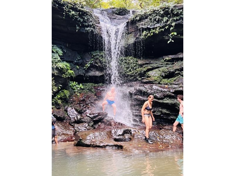 [Okinawa, Iriomote Island] A gentle and authentic experience course! Mangrove Kayaking & Kula Fallsの紹介画像