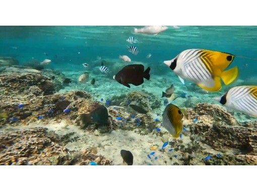 【沖縄の素顔に触れる地元ガイドと行く特別な海時間】ビーチ洞窟探検&シュノーケル⭐️穏やかな海で初心者大歓迎‼️タオルサンダル写真動画無料❤️ 【沖縄の素顔に触れる地元ガイドと行く特別な海時間】ビーチ洞窟探検&シュノーケル⭐️穏やかな海で初心者大歓迎‼️タオルサンダル写真動画無料❤️