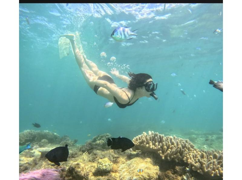 体験/FUNダイビング【沖縄本島・ゴリラチョップ等】♡ 初心者・お一人様・グループ（日本語・English）の紹介画像