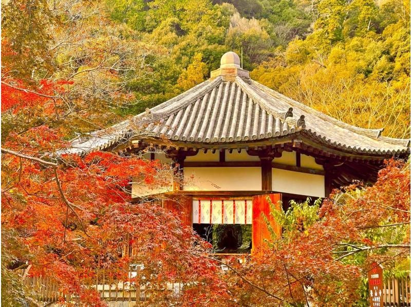 【奈良・五條】榮山寺特別参拝～住職と国宝、美仏を巡る御案内、御法楽(御祈祷)付き～の紹介画像