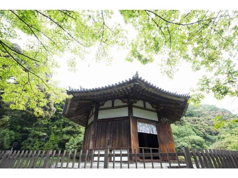 【奈良・五條】榮山寺特別参拝～住職と国宝、美仏を巡る御案内、御法楽(御祈祷)付き～の紹介画像