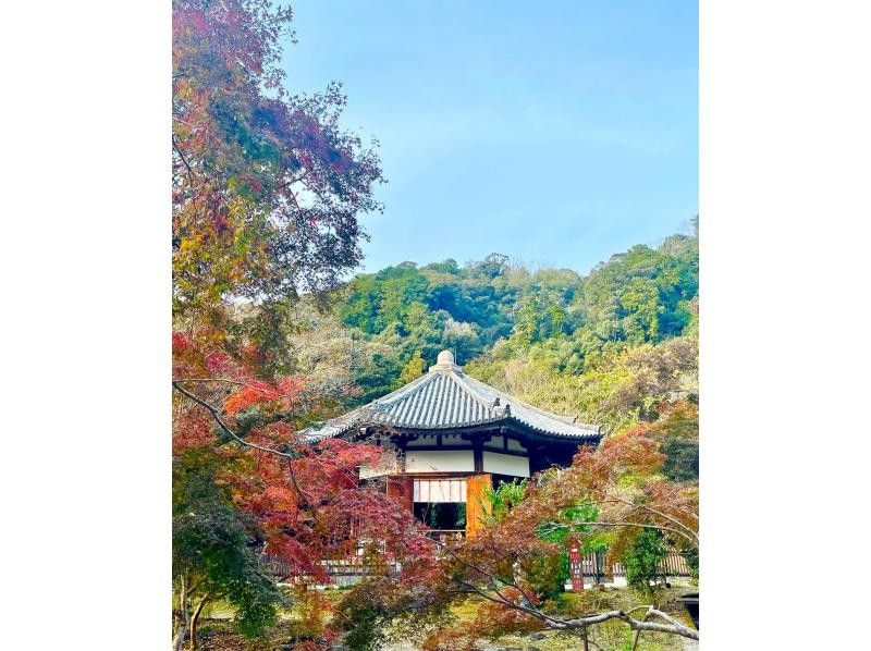 【奈良・五條】榮山寺特別参拝～住職と国宝、美仏を巡る御案内、御法楽(御祈祷)付き～の紹介画像