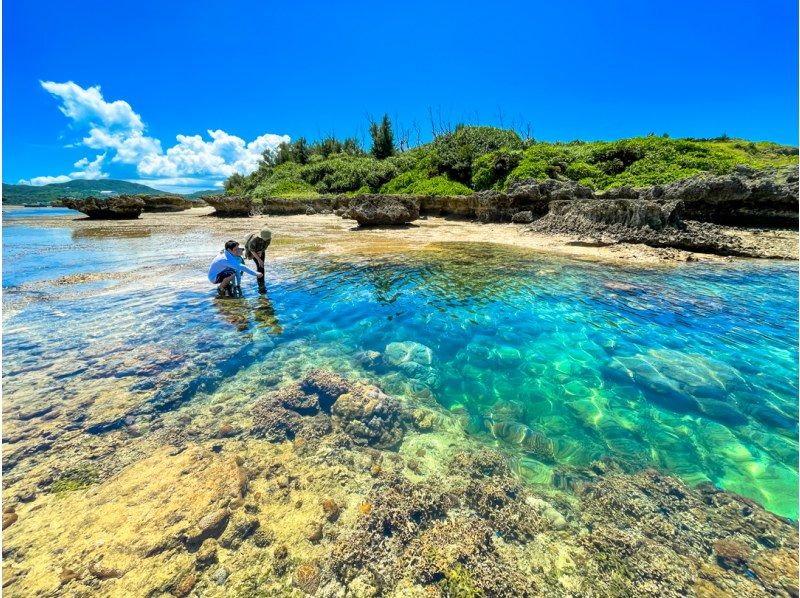 【沖縄・恩納村】干潮限定！歩いて行く無人島ツアー【貸切ガイド・写真付き】｜無人島周囲に広がるサンゴ礁は天然の水族館│水着不要！の紹介画像