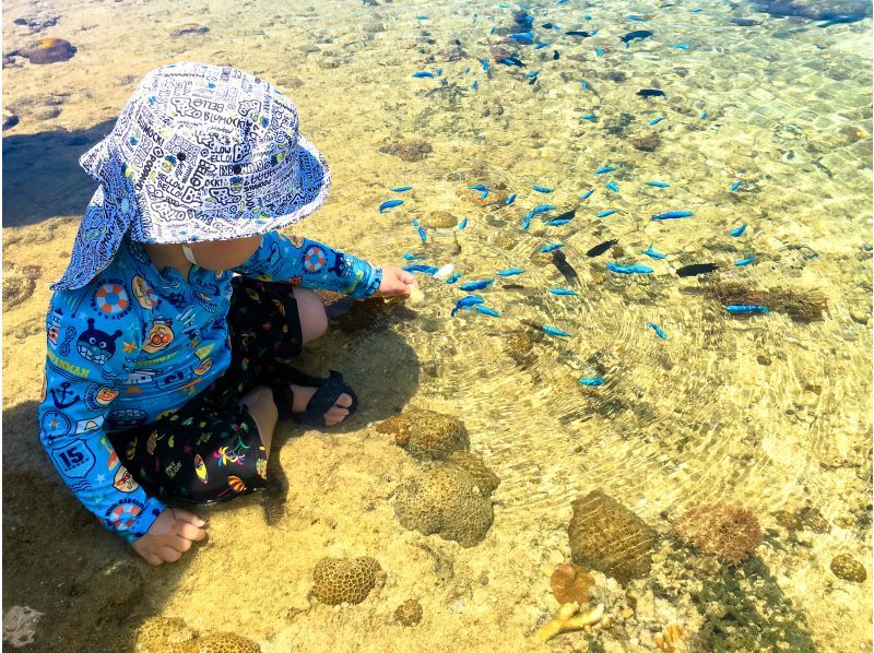 【沖縄・恩納村】干潮限定！歩いて行く無人島ツアー【貸切ガイド・写真付き】｜無人島周囲に広がるサンゴ礁は天然の水族館│水着不要！の紹介画像