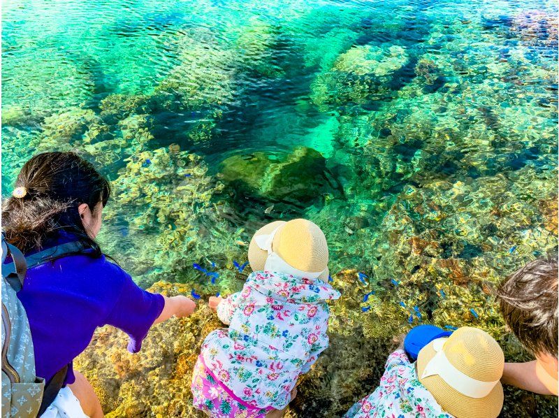 【沖縄・恩納村】干潮限定！歩いて行く無人島ツアー【貸切ガイド・写真付き】｜無人島周囲に広がるサンゴ礁は天然の水族館│水着不要！の紹介画像
