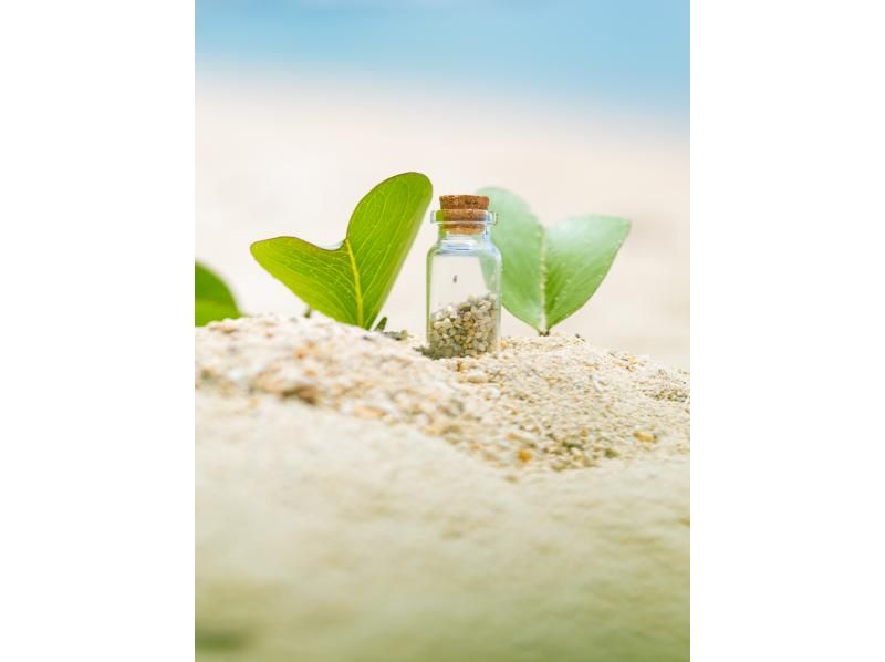 【沖縄・恩納村】干潮限定！歩いて行く無人島ツアー【貸切ガイド・写真付き】｜無人島周囲に広がるサンゴ礁は天然の水族館│水着不要！の紹介画像