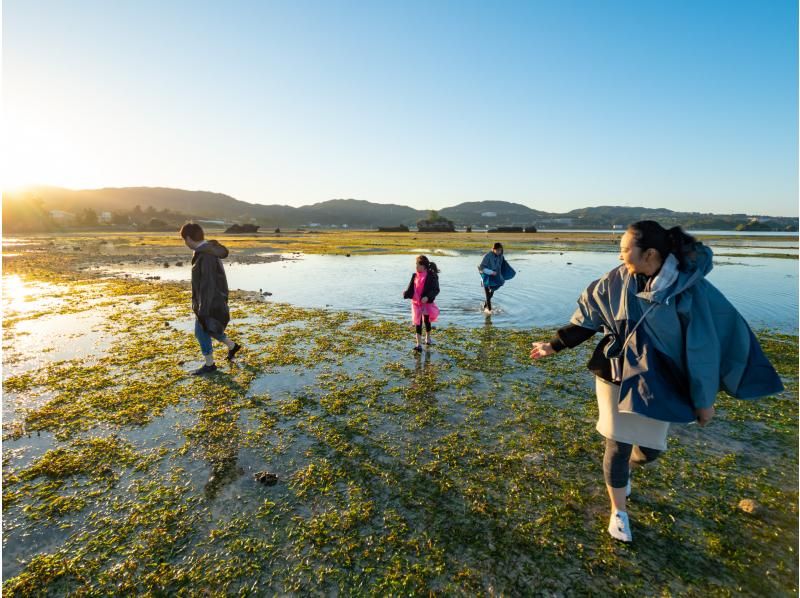 【沖縄・恩納村】早朝！歩いて行く無人島ツアー【1組限定】美しい浅瀬に広がる天然の水族館│＊水着不要＊泳がなくても！どなたでも楽しめますの紹介画像