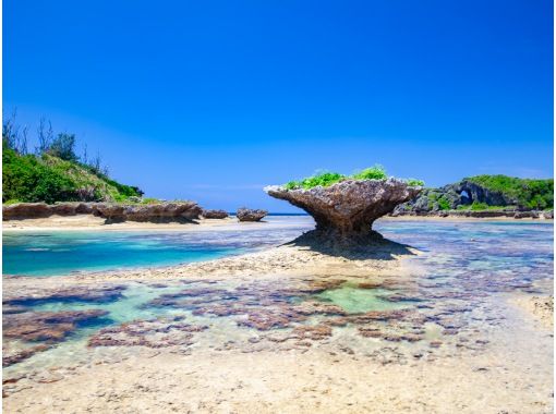 【沖縄・恩納村】サンセット!歩いて行く無人島ツアー|美しい浅瀬に広がる天然の水族館│水着不要*泳がなくても!楽しめます 【沖縄・恩納村】サンセット!歩いて行く無人島ツアー|美しい浅瀬に広がる天然の水族館│水着不要*泳がなくても!楽しめます