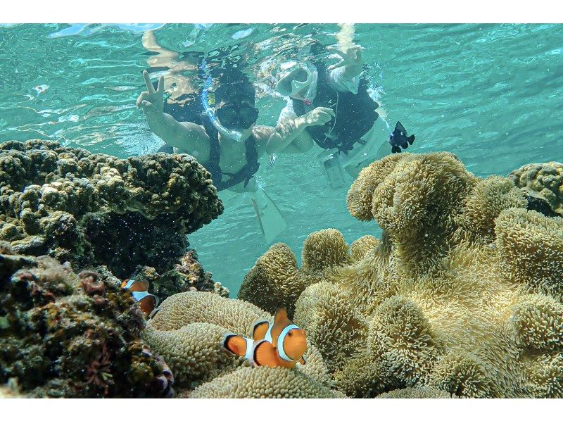 【沖縄・宮古島】透明度抜群！サンゴが広がるビーチでシュノーケリング〜ウミガメやニモにも会える！撮影データプレゼント（初心者・当日予約OK）の紹介画像