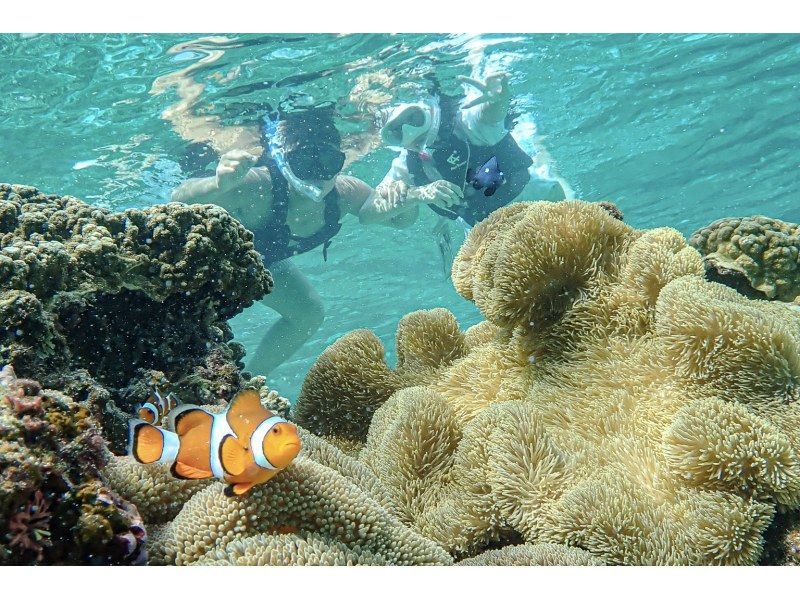 【沖縄・宮古島】透明度抜群！サンゴが広がるビーチでシュノーケリング〜ウミガメやニモにも会える！撮影データプレゼント（初心者・当日予約OK）の紹介画像