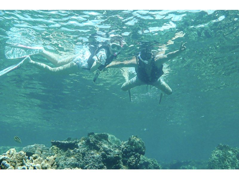 【沖縄・宮古島】透明度抜群！サンゴが広がるビーチでシュノーケリング〜ウミガメやニモにも会える！撮影データプレゼント（初心者・当日予約OK）の紹介画像