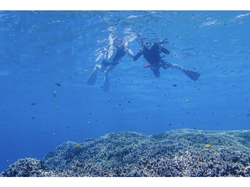 【沖縄・宮古島】透明度抜群！サンゴが広がるビーチでシュノーケリング〜ウミガメやニモにも会える！撮影データプレゼント（初心者・当日予約OK）の紹介画像