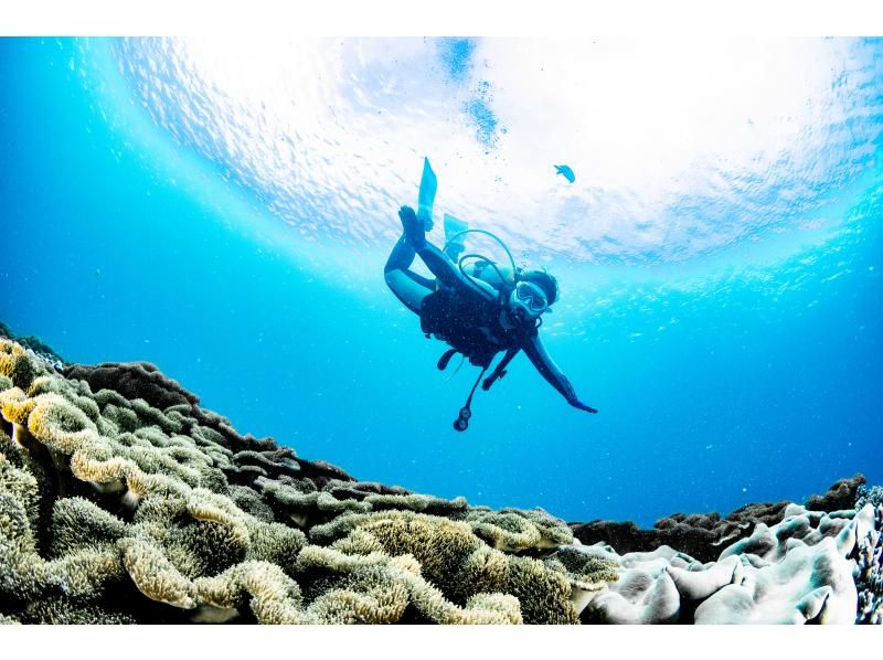 【冲绳/北谷】仅限工作日 免费租借装备 ⭕️ 2次趣味潜水 ❤️ 免费提供视频、照片、毛巾和凉鞋 无需携带任何装备即可参加 ⭕️ 欢迎初学者 ⭕️ 提供接送服务 ⭕️ 单人 ⭕️の紹介画像