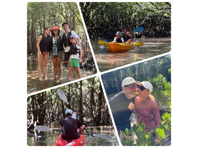 [Ishigaki Island / Private Tour for 1 Group] ☆Fukidori River Mangrove & Sunset Tour☆ [Participants from 1 year old] Especially recommended for families with children! Over 95% are beginners!の紹介画像