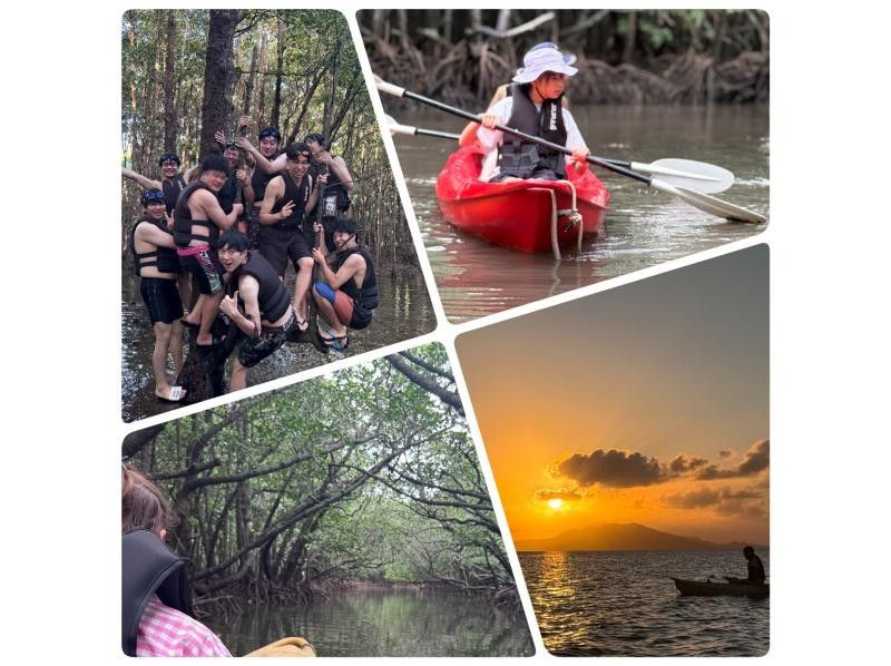 [Ishigaki Island / Private Tour for 1 Group] ☆Fukidori River Mangrove & Sunset Tour☆ [Participants from 1 year old] Especially recommended for families with children! Over 95% are beginners!の紹介画像