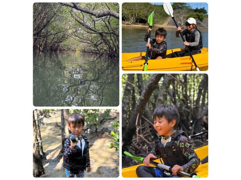【石垣岛 / 1组私人行程】☆吹通河红树林日落之旅☆【1岁及以上儿童即可参加】特别推荐给带孩子的家庭！超过95%的游客都是初学者！の紹介画像