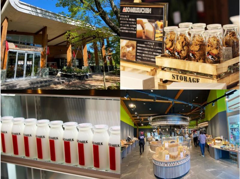 510 [熊本/阿苏] 当地巴士之旅：游览阿苏两大主要旅游景点“阿苏山”和“阿苏神社”——含午餐（含赤牛和白肉汉堡牛排对比）。の紹介画像