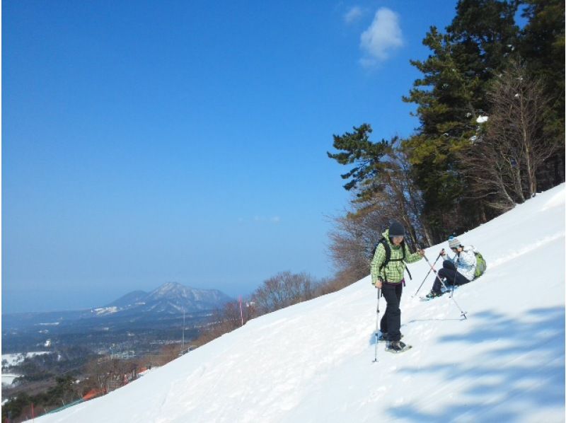 【鳥取県・奥大山】水の山でスノーシューで思いっきり雪遊び＆冬の森歩きしてリフレッシュしよう！の紹介画像