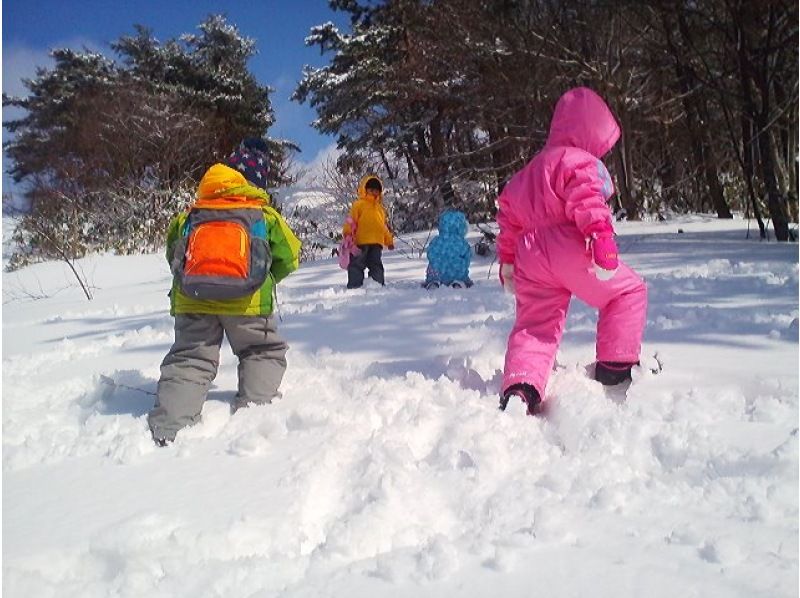 【鳥取県・奥大山】水の山でスノーシューで思いっきり雪遊び＆冬の森歩きしてリフレッシュしよう！の紹介画像