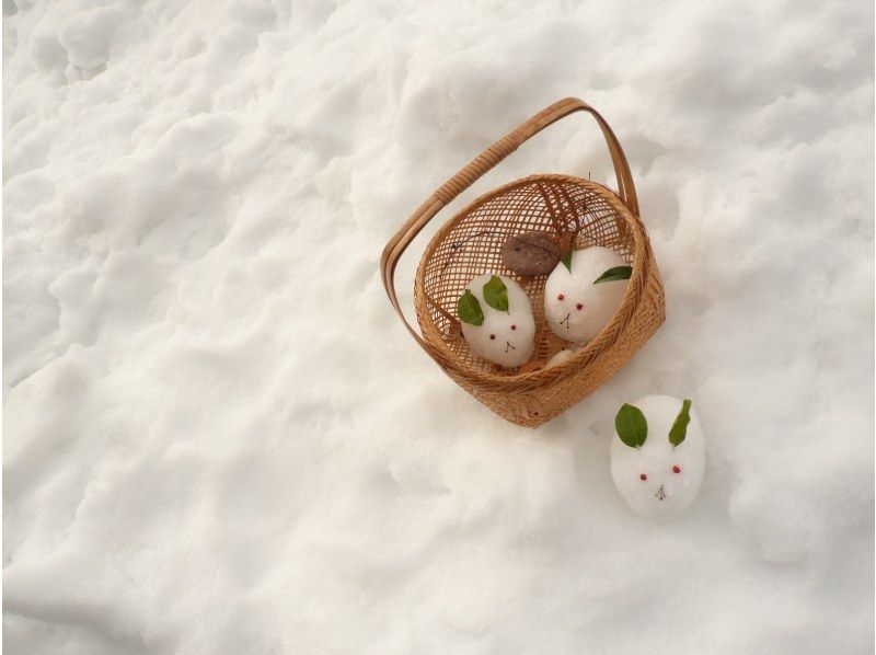 【鳥取県・奥大山】水の山でスノーシューで思いっきり雪遊び＆冬の森歩きしてリフレッシュしよう！の紹介画像