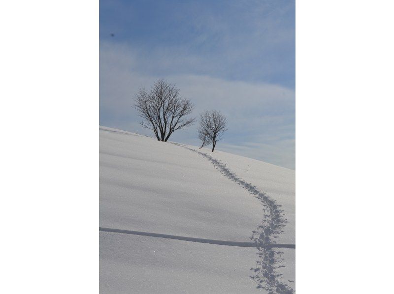 【鳥取県・奥大山】水の山でスノーシューで思いっきり雪遊び＆冬の森歩きしてリフレッシュしよう！の紹介画像
