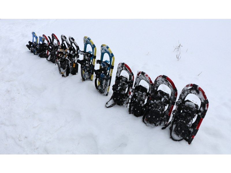 [Hokkaido Furano] Furano Snowshoe Hiking Tourの紹介画像