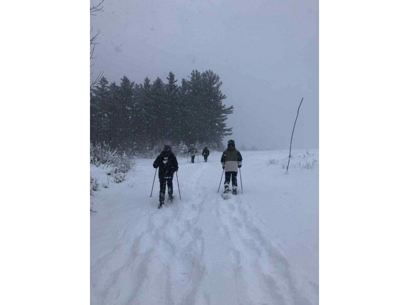 [Hokkaido Furano] Furano Snowshoe Hiking Tourの紹介画像